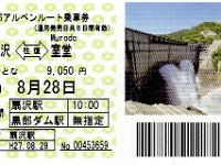 これぞ！アルペンルート乗車券：\9050