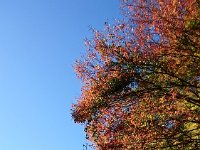 DSC 0044