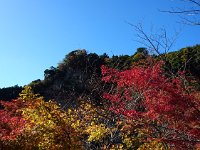 DSC 0065