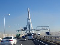 IMG 8987