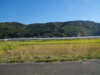 IMG 9006