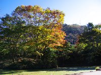 IMG 9021
