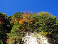 IMG 9030