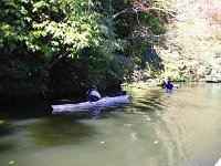 IMG 9047