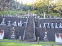 IMG 9081