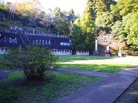 IMG 9082