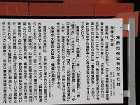 IMG 9089