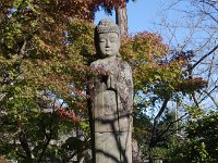 IMG 9090