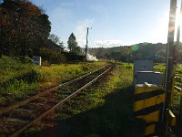 IMG 9105