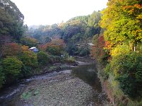 IMG 9114