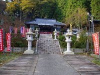IMG 9117