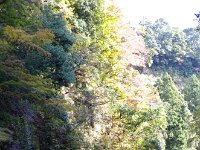IMG 9137