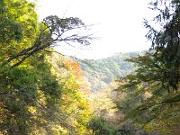 IMG 9151
