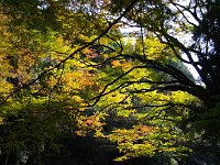 IMG 9158