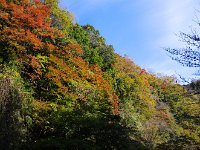 IMG 9169