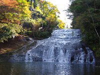 IMG 9177