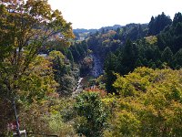 IMG 9191