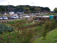 IMG 9205