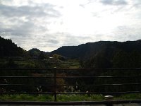 IMG 9208