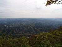IMG 9218
