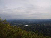 IMG 9219