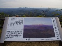 IMG 9224