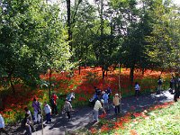 此人出・・・凄い！