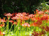 まるでスポットライトの中