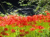 川の流れをバックに