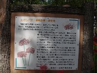 人の手で、しっかりと手入れされているようです。