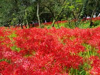 言うことなし！