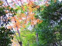 DSC 0162  やっと他残口に