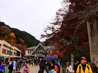 DSC 0179  この天気にしてこの人混み・・・恐ろしや