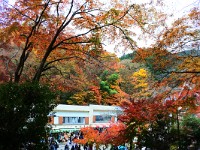 DSC 0183  駅前も真っ盛り