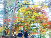 DSC 0401