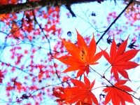 DSC 0405