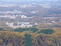 IMG 1479  不思議な光景に見えます