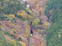 IMG 1491  可愛いケーブルカーがノコノコ走ってました。