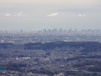 IMG 1494  都心・スカイツリーを遠望！