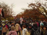 IMG 1533  混雑・混雑
