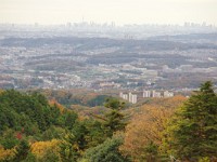 IMG 1555  都心を望む（スカイツリーに東京タワー）