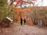IMG 1760  待つ人