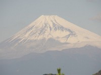 IMG 1763