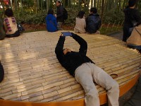IMG 1865  終に、こう云う格好で撮りました