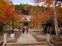 IMG 1881  修善寺塔頭