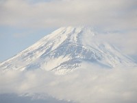IMG 1956