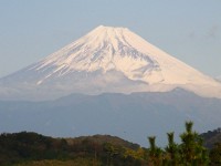 RIMG0046  今日は見事な富士が一望