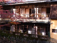 RIMG0069