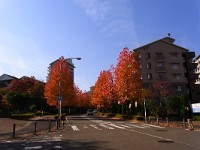 RIMG2165  良き眺め