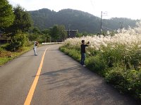 すすきが見事！